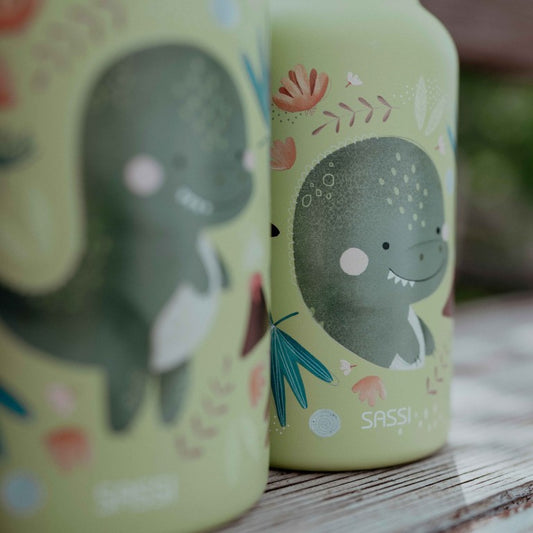 Borraccia in acciaio inox Dinosauro Cracky 500 ml – Sassi Junior