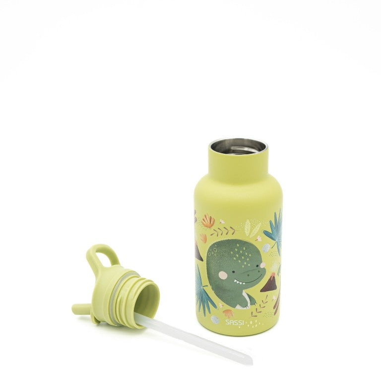 Borraccia termica in acciaio inox Dinosauro Cracky 350 ml – Sassi Junior