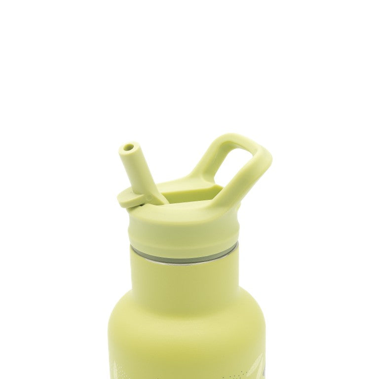 Borraccia termica in acciaio inox Dinosauro Cracky 350 ml – Sassi Junior
